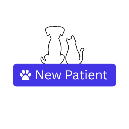Start your first session and document the visit instantly. Follow-ups are just as simple—everything stays in one central record. No more digging through multiple files.